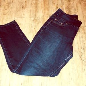 Jag Jeans High Rise Skinny size 14 Womens.
